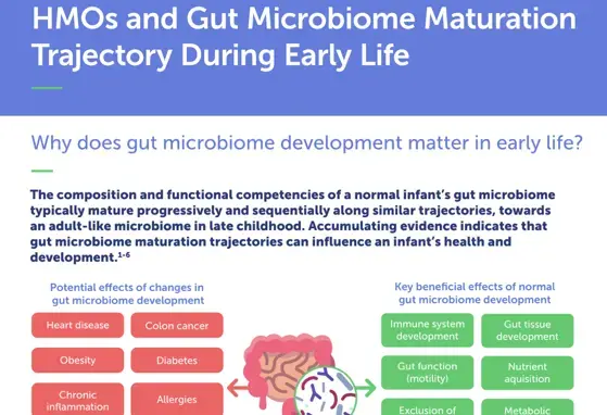 HMOs and Gut Microbiome Maturation Trajectory During Early Life